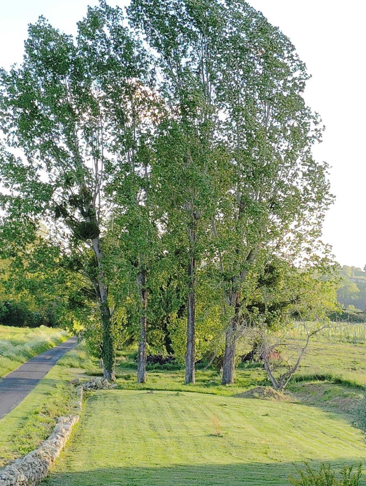 Gite L'Edenwine Doulezon Exteriör bild