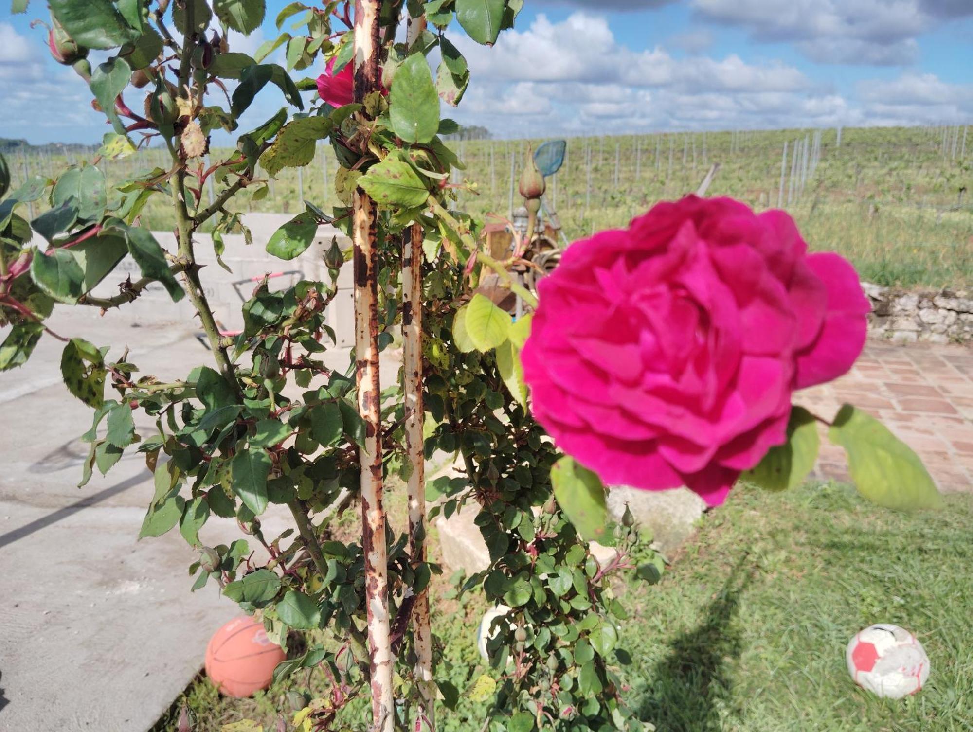 Gite L'Edenwine Doulezon Exteriör bild